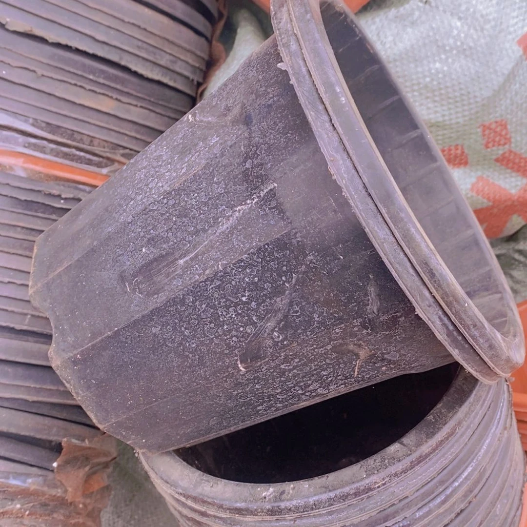 旧20公分黑砖盆12个