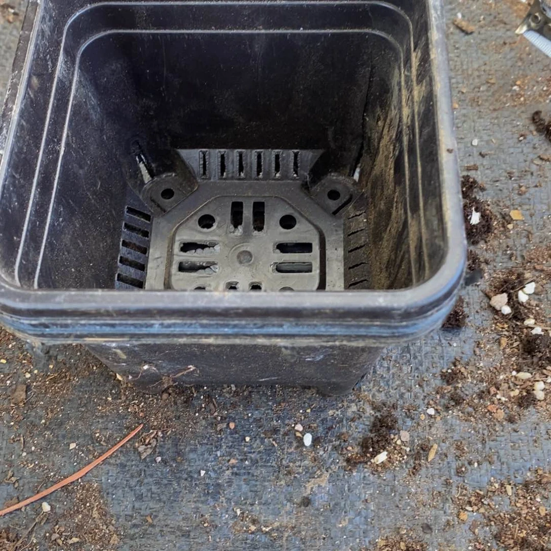 旧12公分黑方盆30个 软