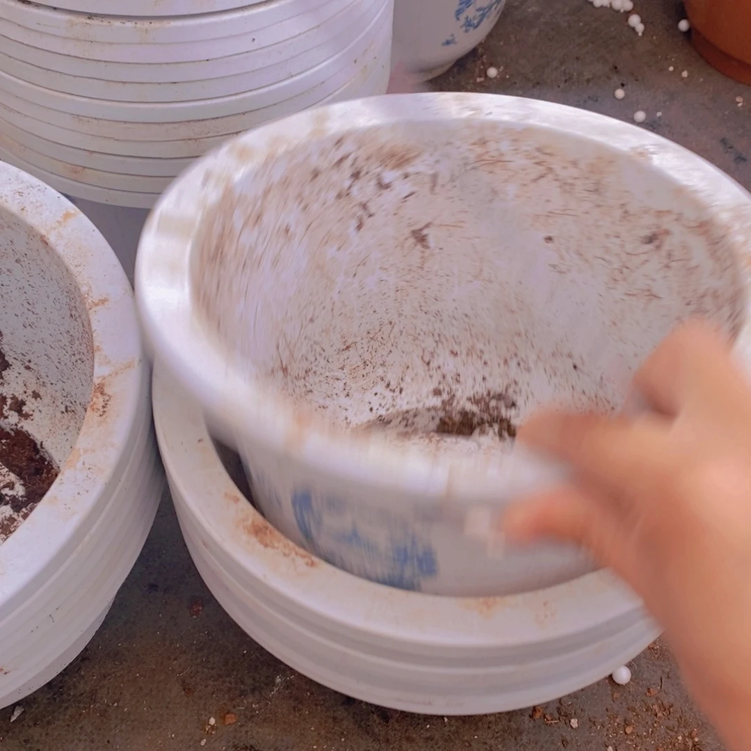 旧24公分青山绿水盆7个