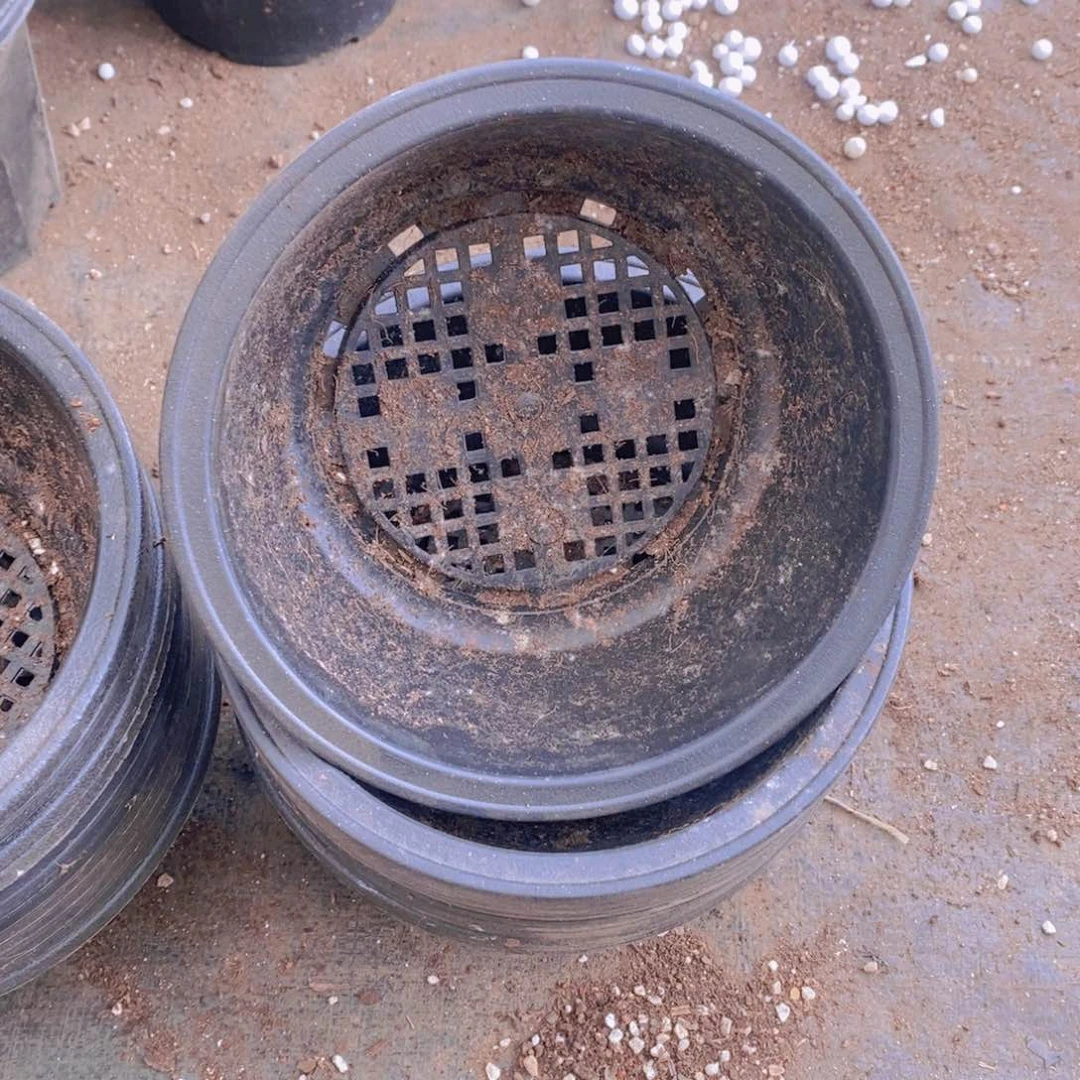 旧20公分黑色韩圆盆12个