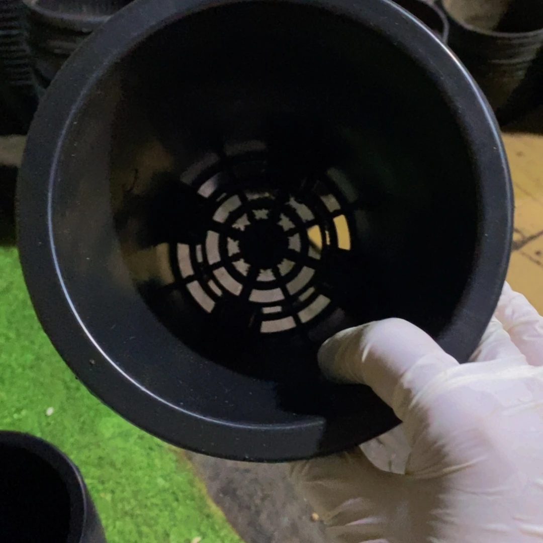 新15公分黑万象盆7 个