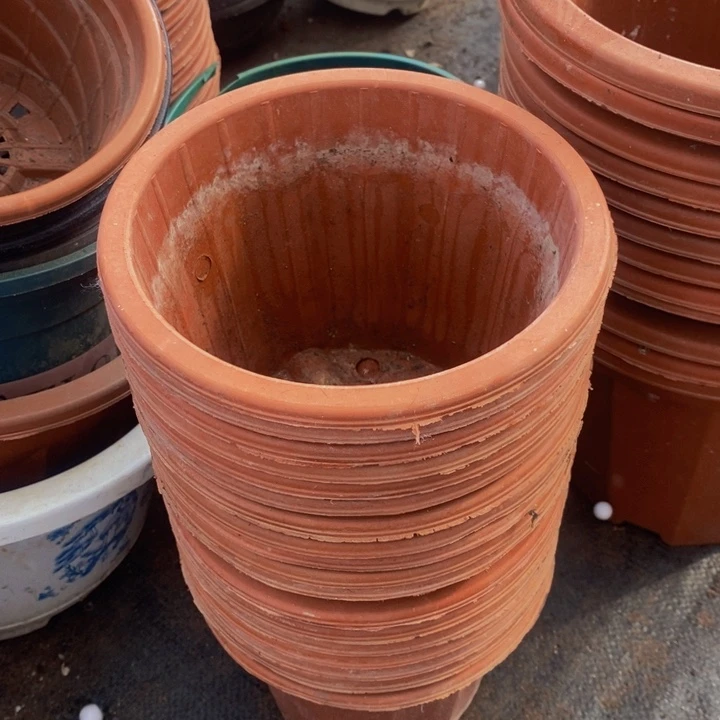 旧16公分红砖盆15个