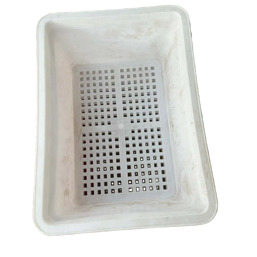 白育苗盘迷你款】景天多肉叶插繁育专用透气简约耐用黑色尺寸同款