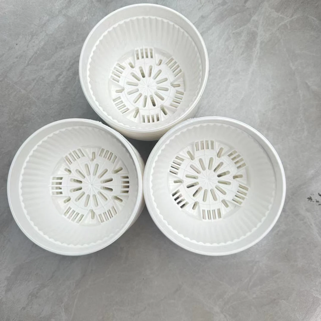 【150聚宝白款】景天大型多肉绿植专用款花盆白色透气简约耐用