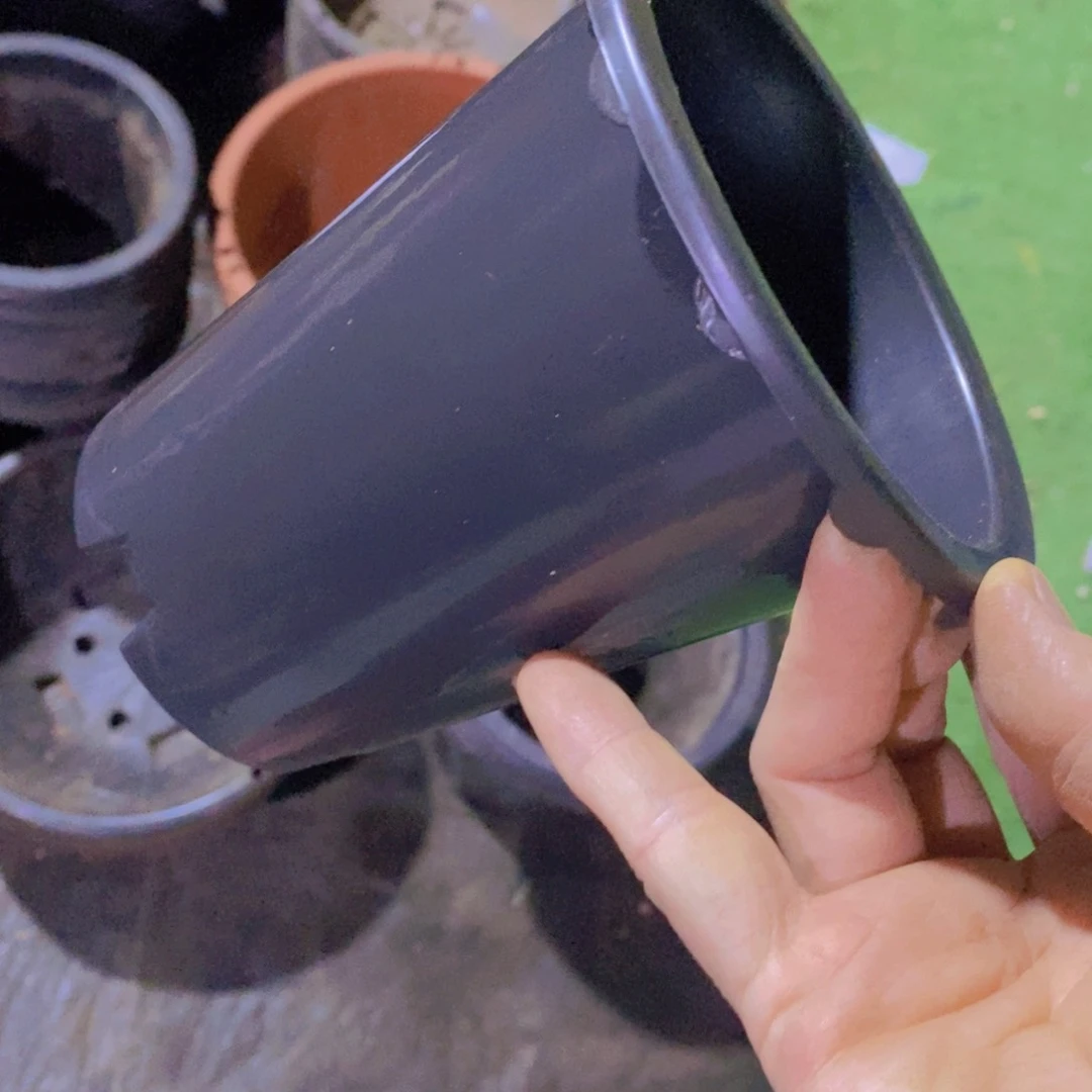 新13公分黑万象盆15个