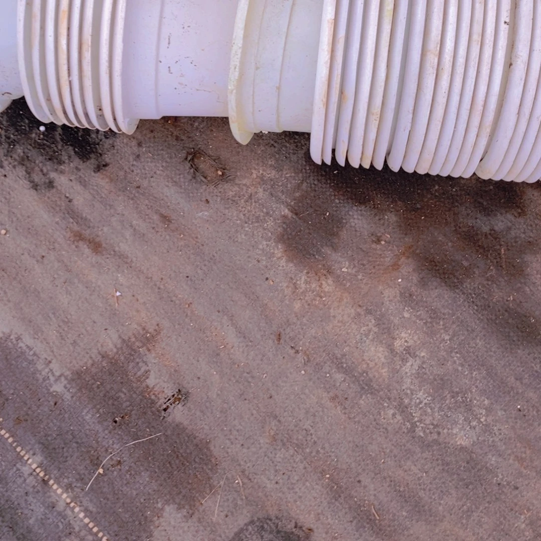 旧16白圆盆 15个