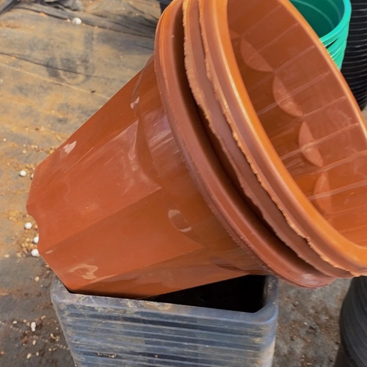 新22公分红砖盆10个