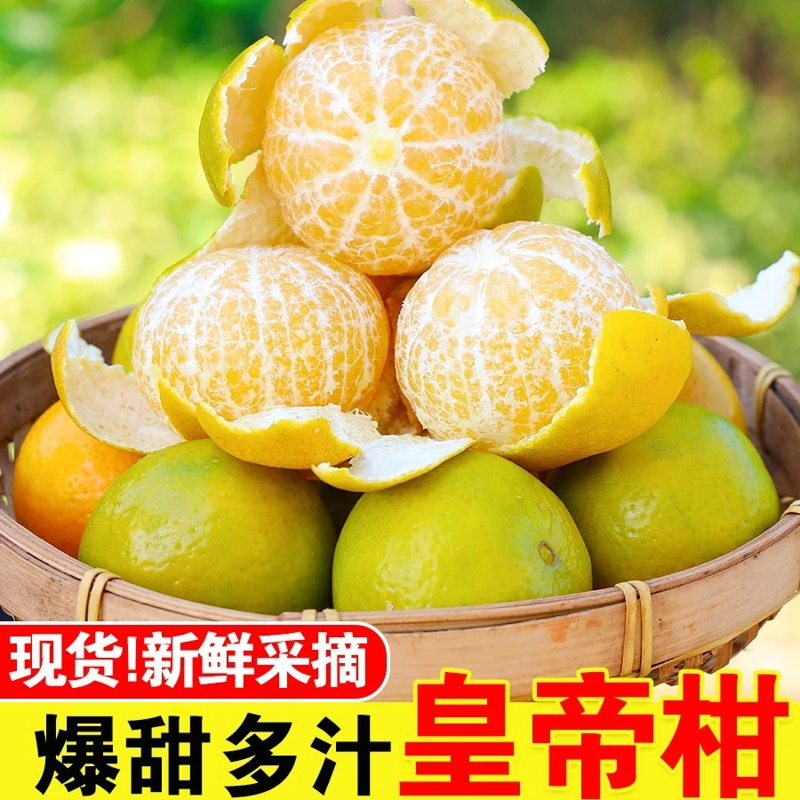 现摘广西皇帝柑贡柑9斤/5斤皮薄多汁新鲜柑橘桔子坏果包赔