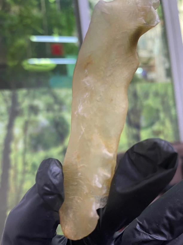 深海黄花胶100克