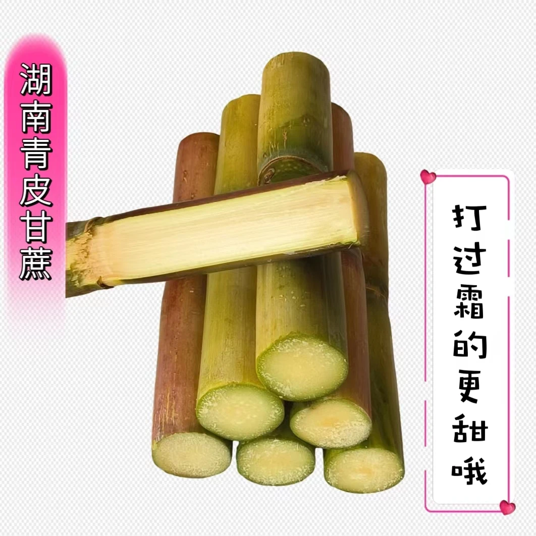 正宗湖南发货青皮甘蔗白玉绿皮新鲜当季水果甘蔗口感脆甜5斤食用
