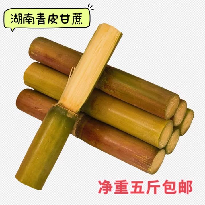 湖南青皮甘蔗新鲜5斤包邮当季特产整箱脆甜果蔗清甜杆白玉甘蔗