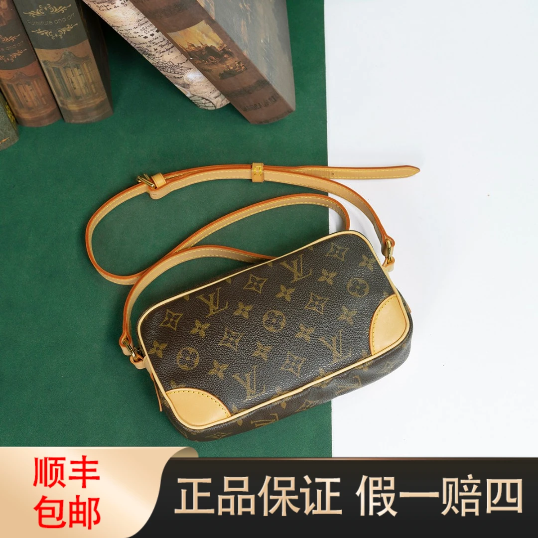 95新 LouisVuitton/路易威登 中古 相机包mini