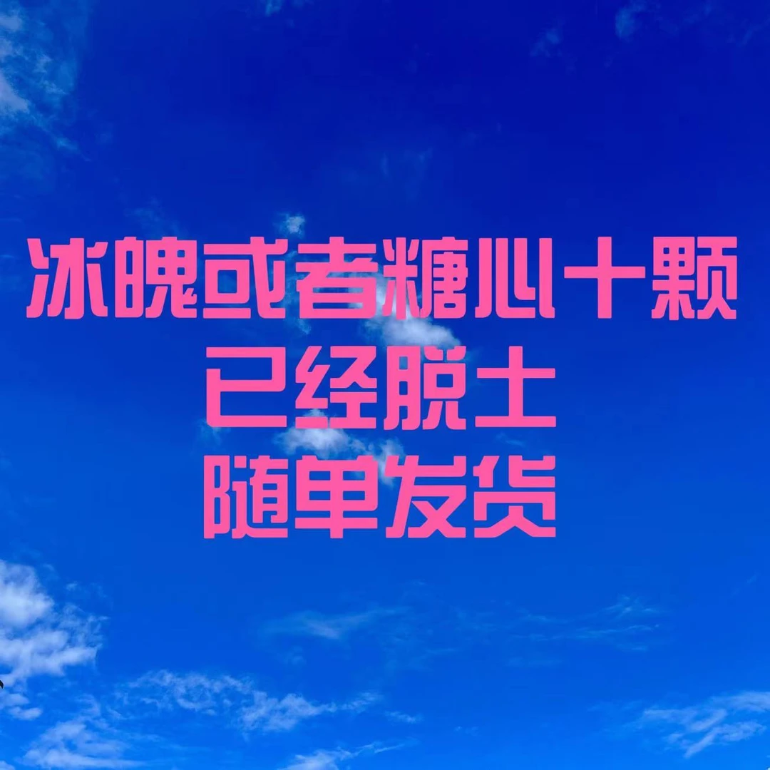 冰魄糖心混合十个 脱土发货