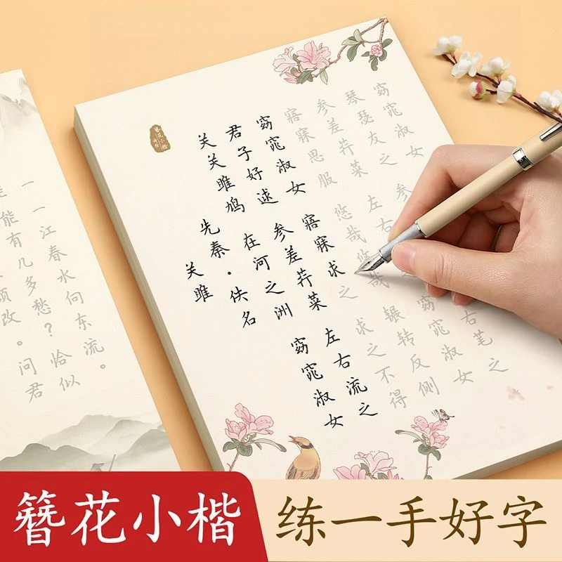 【楷书练字帖】成年人簪花小楷女生字体漂亮大气学生练字本硬笔书CR