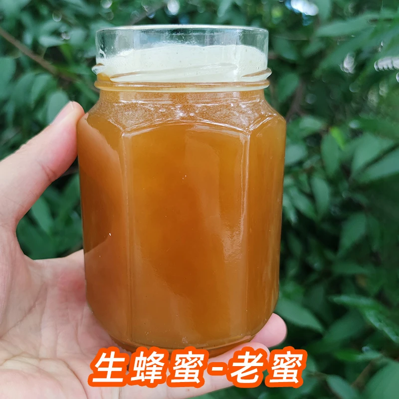 【老蜜】正宗安疗土蜂蜜中蜂采集原生酿蜜浓郁成熟滋补品五倍子蜂蜜