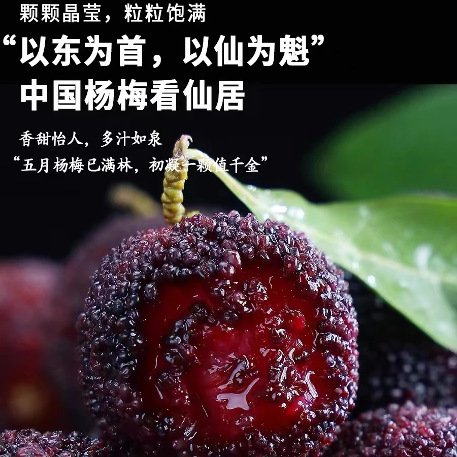 8A大果！超甜！颗粒包装 仙居东魁杨梅颗粒冷链京东