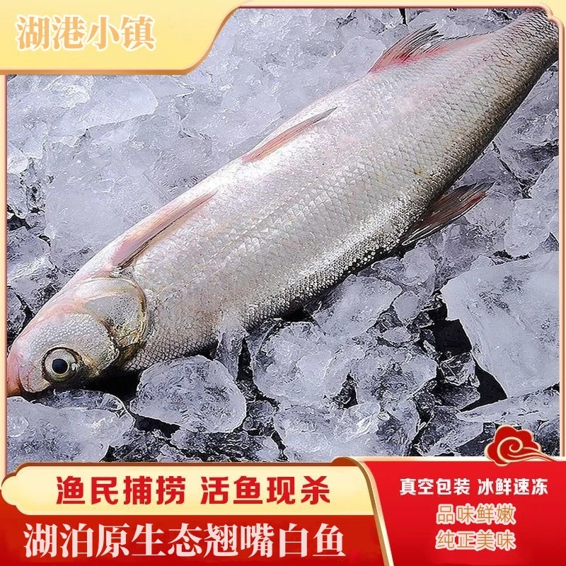 大白刁翘嘴鱼新鲜活鱼现杀淡水刁子鱼真空包装淡水鱼顺丰包邮