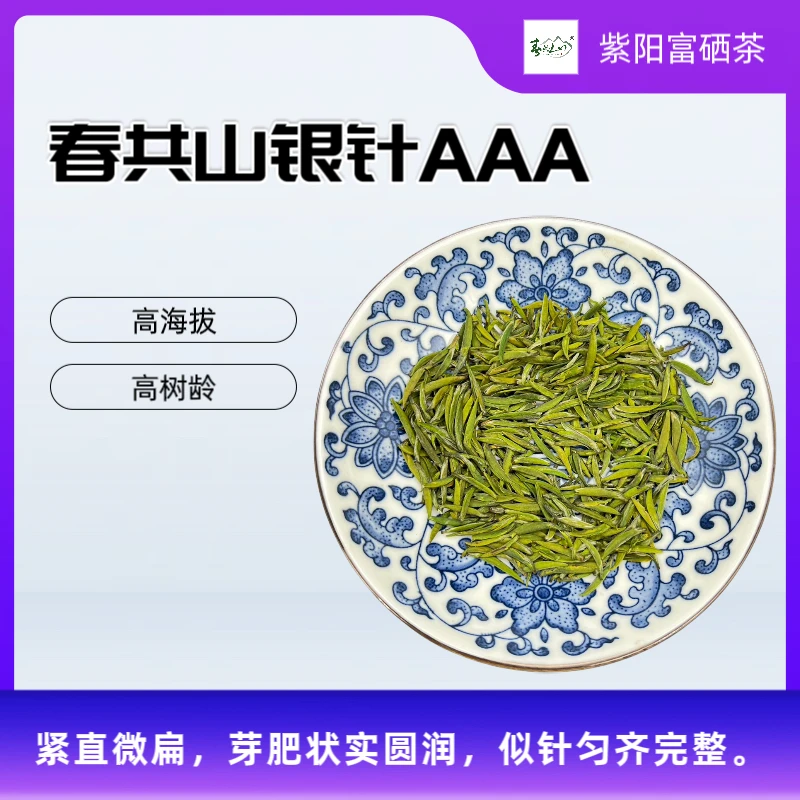 2025年紫阳毛尖春共山银针AAA153g