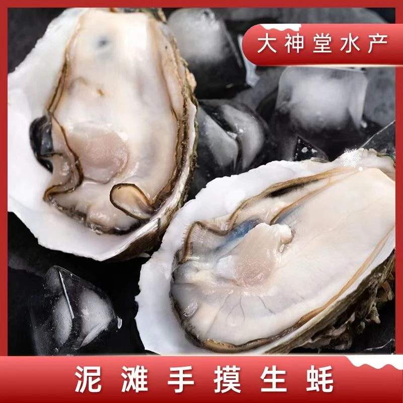 大神堂特产野生生蚝