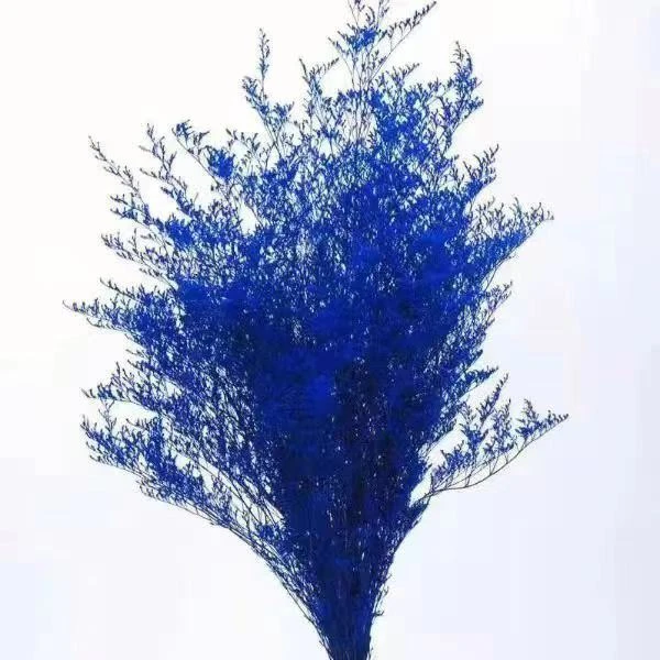 鲜花配草新鲜情人草天然风干干花永生花