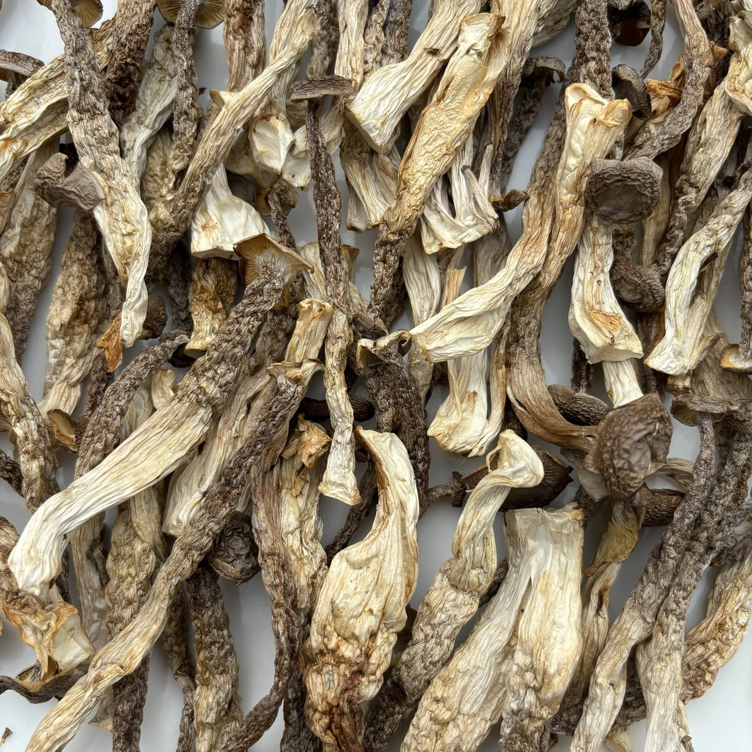刁妹儿  鹿茸菇（现称现卖）