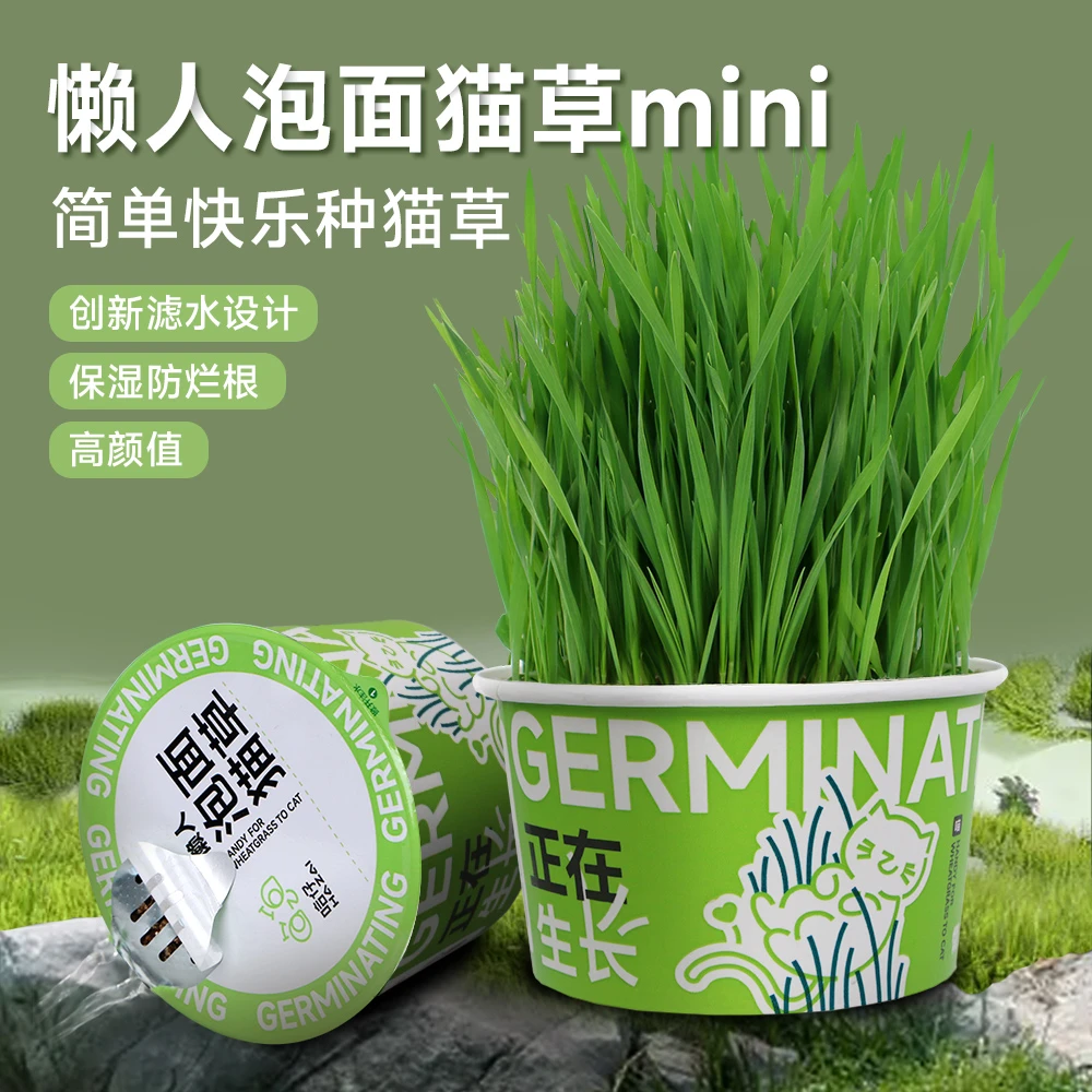 【旺旺是只橘猫专属】懒人泡面猫草创新滤水设计化毛排毛球懒人猫草