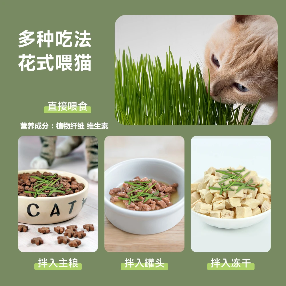 泡面猫草创新滤水设计猫咪零食化毛排毛球懒人猫草