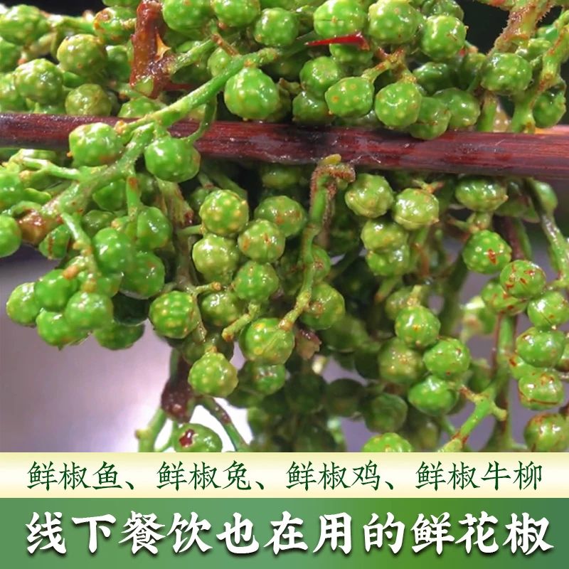 新鲜青花椒鲜藤椒350g*3袋精选重庆江津九叶青冷冻清香保鲜花椒
