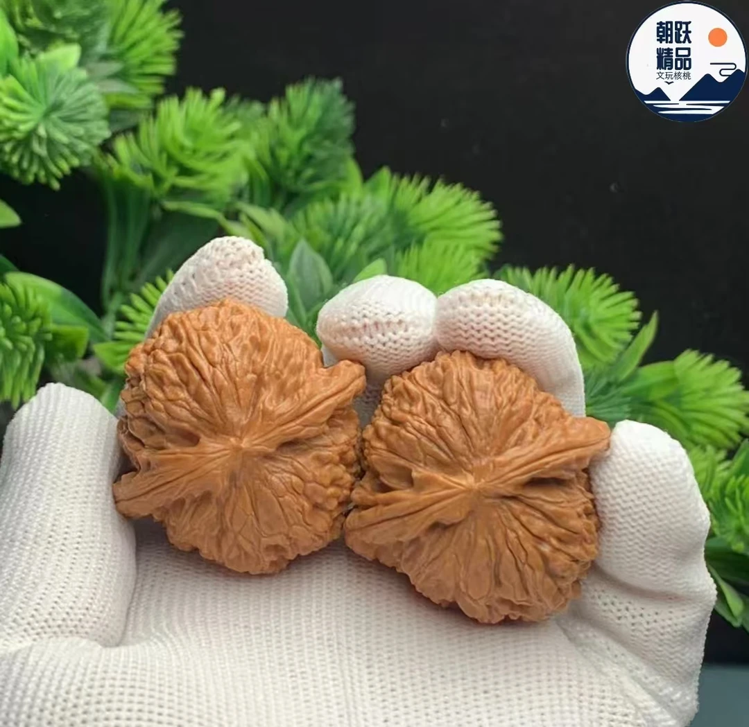 2025年新果全品白狮子文玩核桃