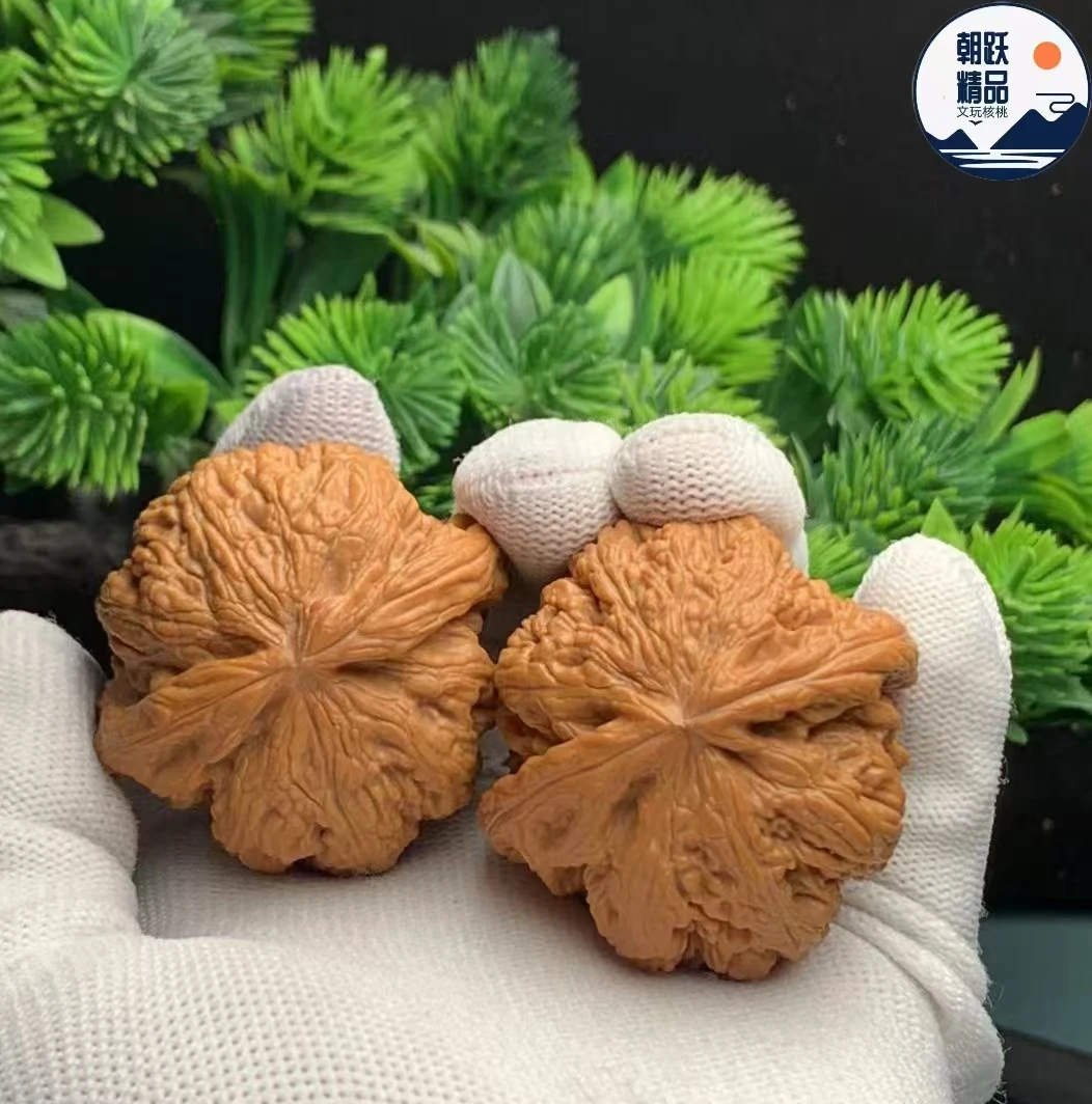 微修平谷大粗筋核桃