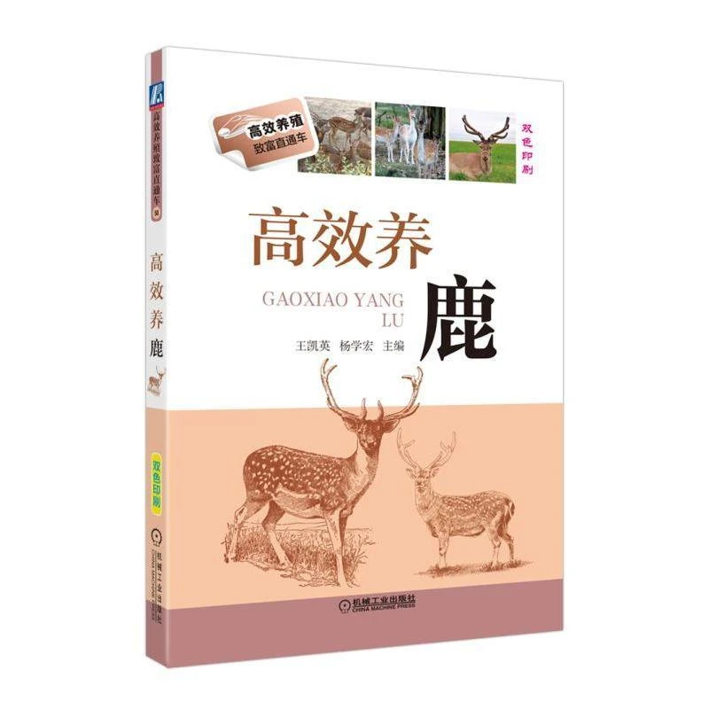 书籍《养鹿》正版全新