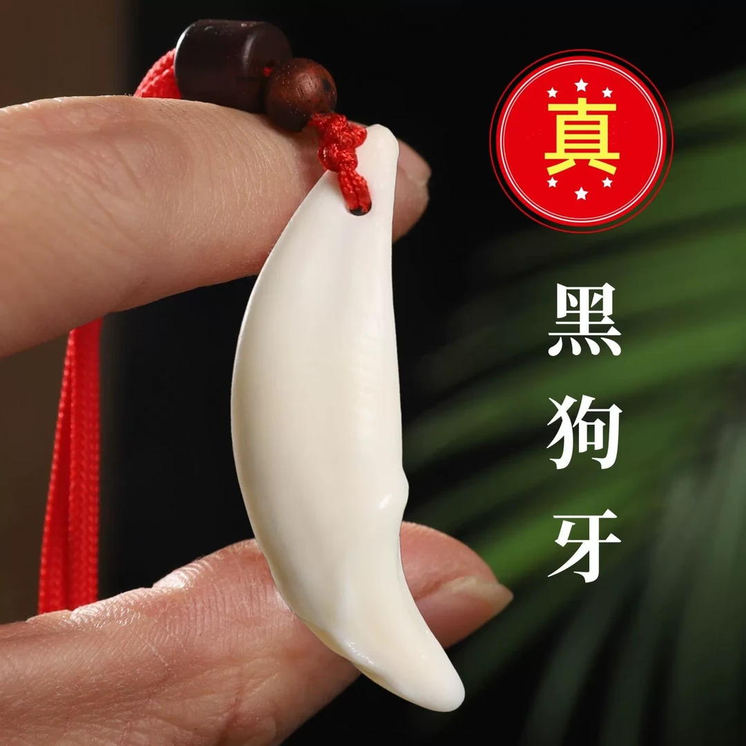 【4.7-4.9cm成人款】原生真大黑狗牙傲牙吊坠成人男女创意饰品