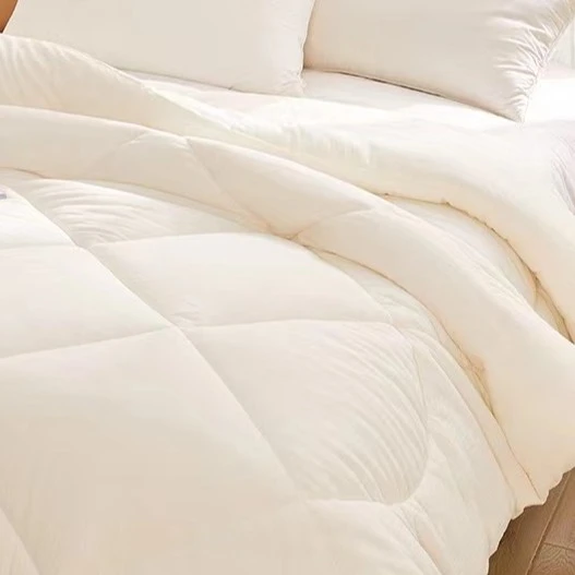 【桑蚕丝被】百分百双宫茧桑蚕丝被 柔软亲肤舒适100双宫茧桑蚕丝