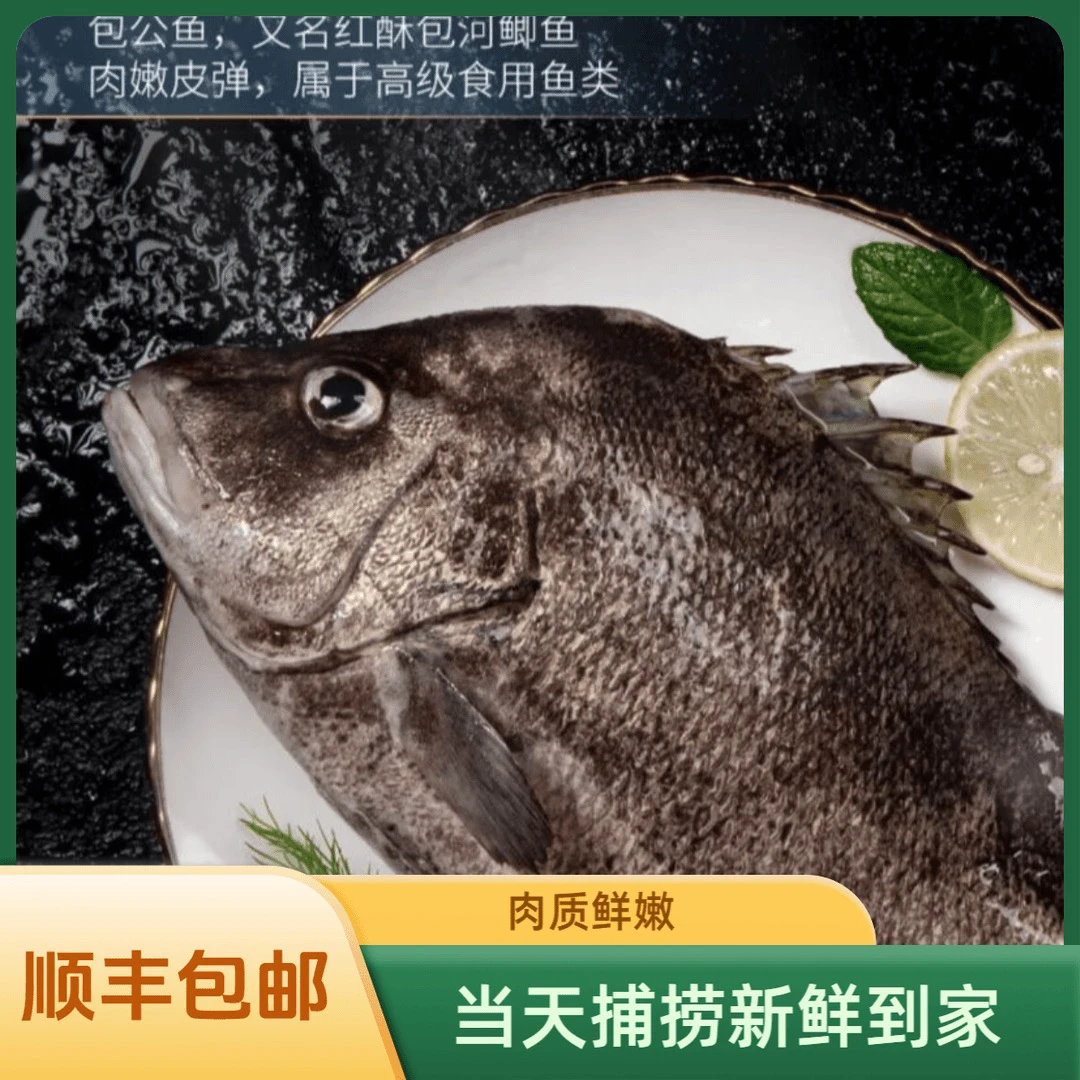 浙江东海海鲜现称现卖 顺丰包邮