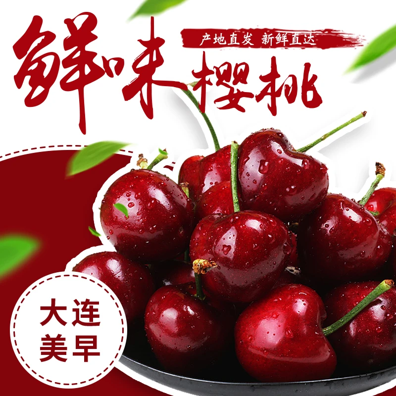 【屯鲜生】大连露天美早樱桃2J-5J 1.8/2.8斤 部分空运