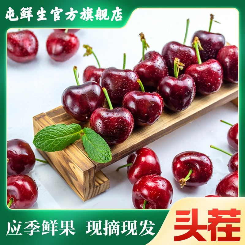 屯鲜生 | 大连美早大樱桃新鲜产地直发包邮1.8-2.8斤