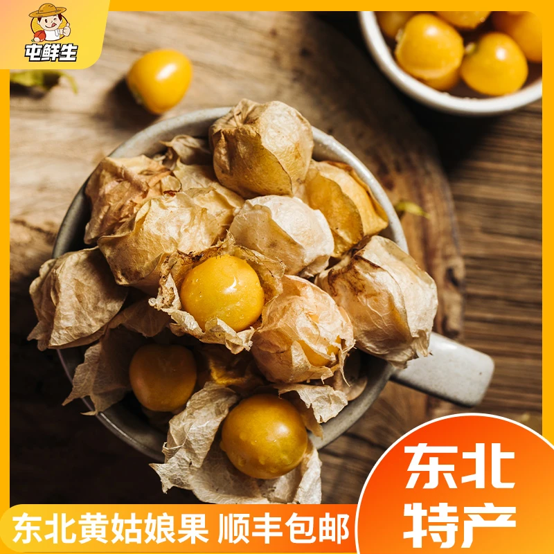 屯鲜生 | 东北甜姑娘果灯笼果菇茑黄金豆1斤/2斤/3斤顺丰包邮