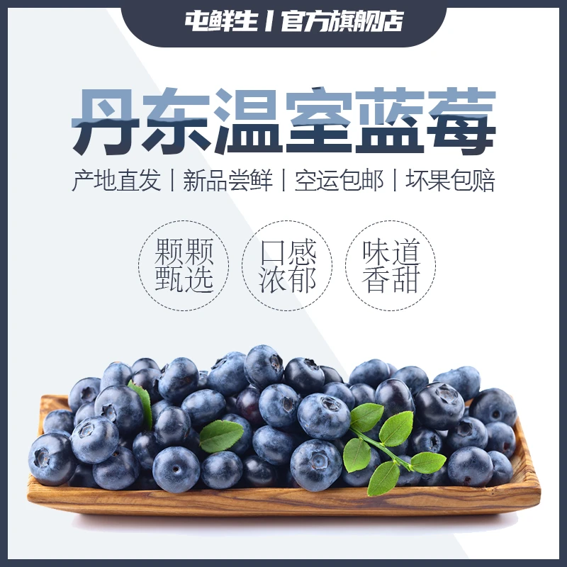 屯鲜生 | 丹东暖棚蓝莓宝宝蓝莓现摘现发净含量1/2斤顺丰包邮