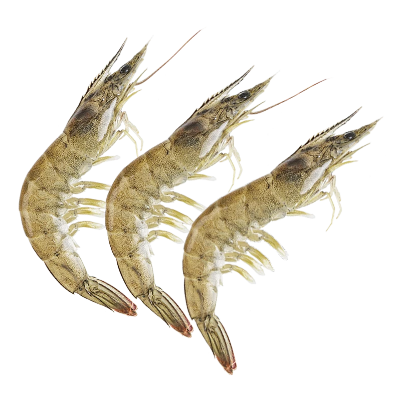 鲜活基围虾500/份