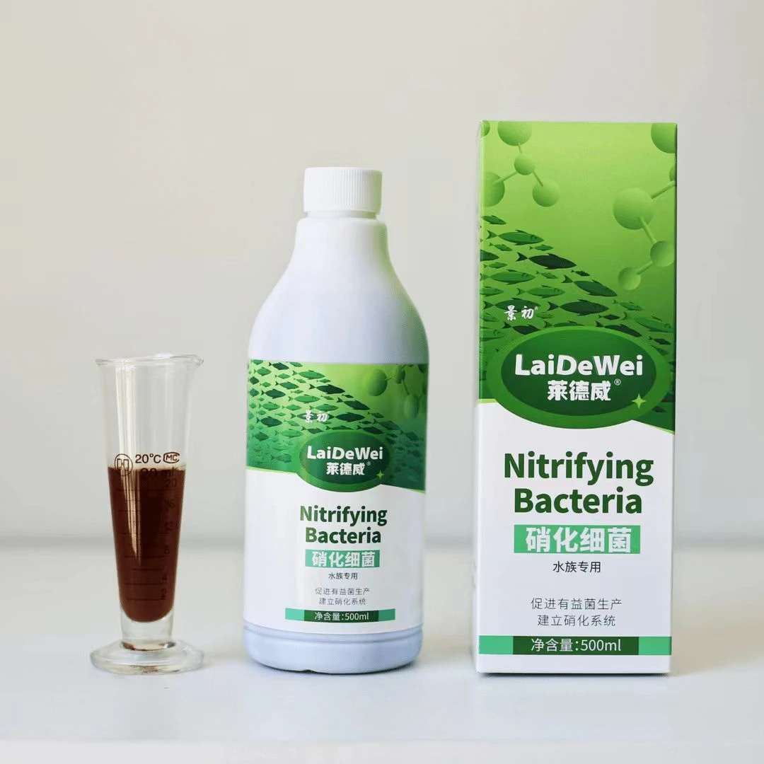 景初硝化细菌光合细菌水族空气缸专用净化水质