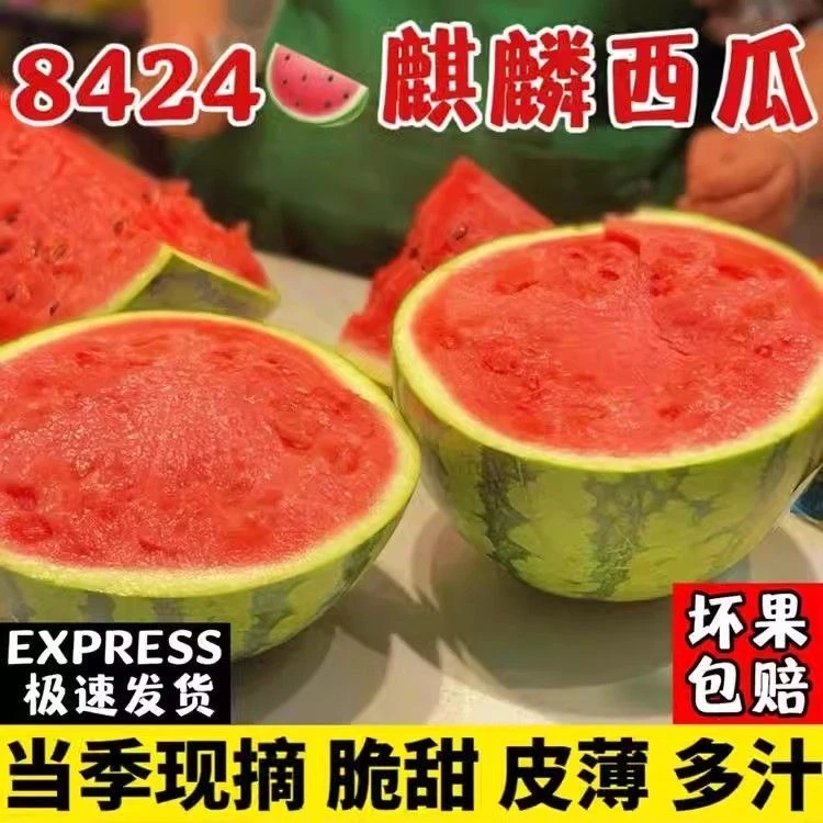8424新鲜满口甜冰糖麒麟瓜农家脆甜多汁爆甜无籽西瓜爆汁自然种植