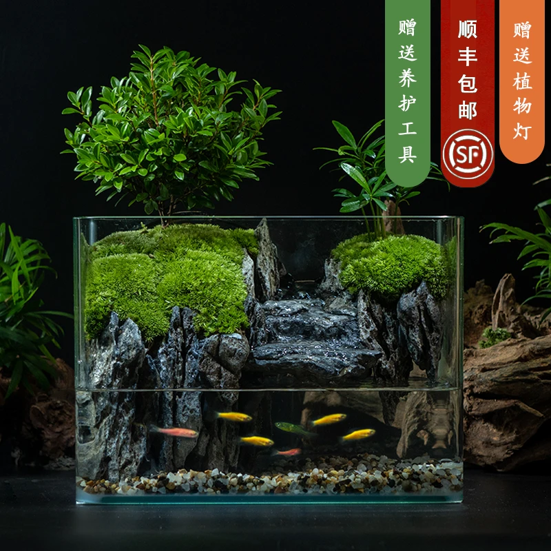 【水墨江南】国风山水-青龙石流水桌面微景观小叶赤楠植物25*16*18