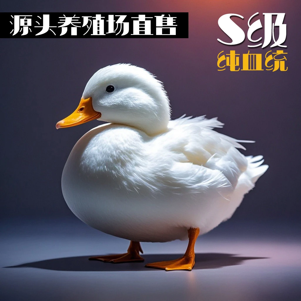 S级柯尔鸭宠物鸭网红鸭肉整只