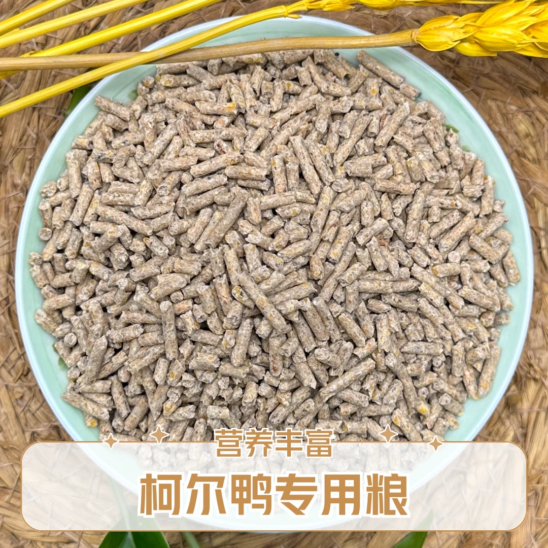 柯尔鸭鸭饲料（7周-21周）培育产蛋前期鸭饲料营养美丽时尚流行适合