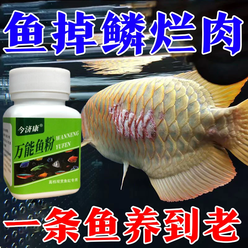 【万能鱼粉】蒙眼白浊凸眼黏膜烂肉净化水质观赏鱼家养鱼各类鱼通用