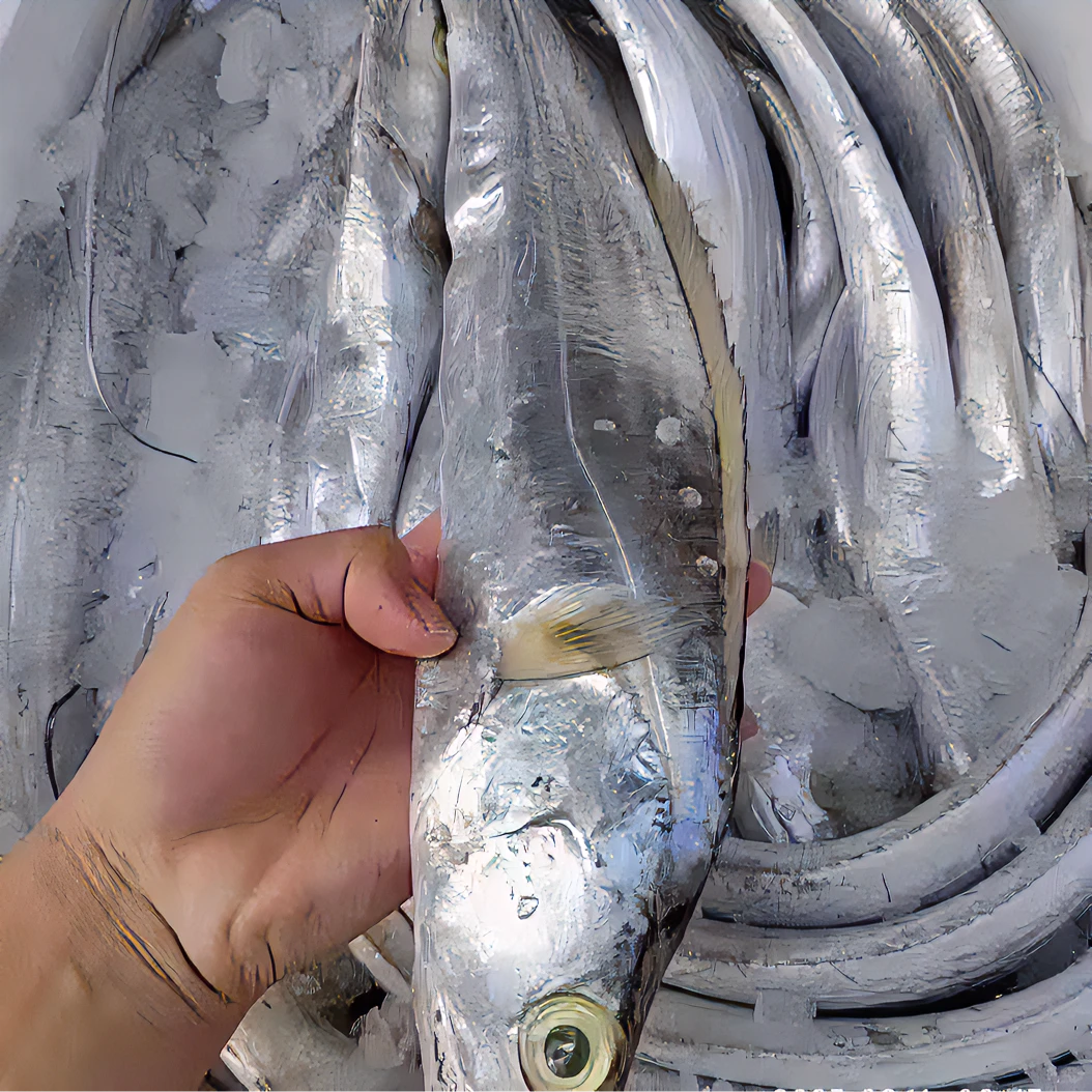 【4条左右】拖网刮伤野生带鱼 次品带鱼新鲜海鱼 帮杀切段