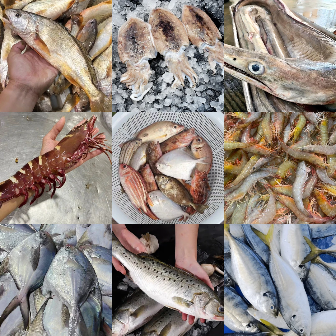 【活卢虾+金线鱼+龙利鱼+鱿鱼】组合套餐