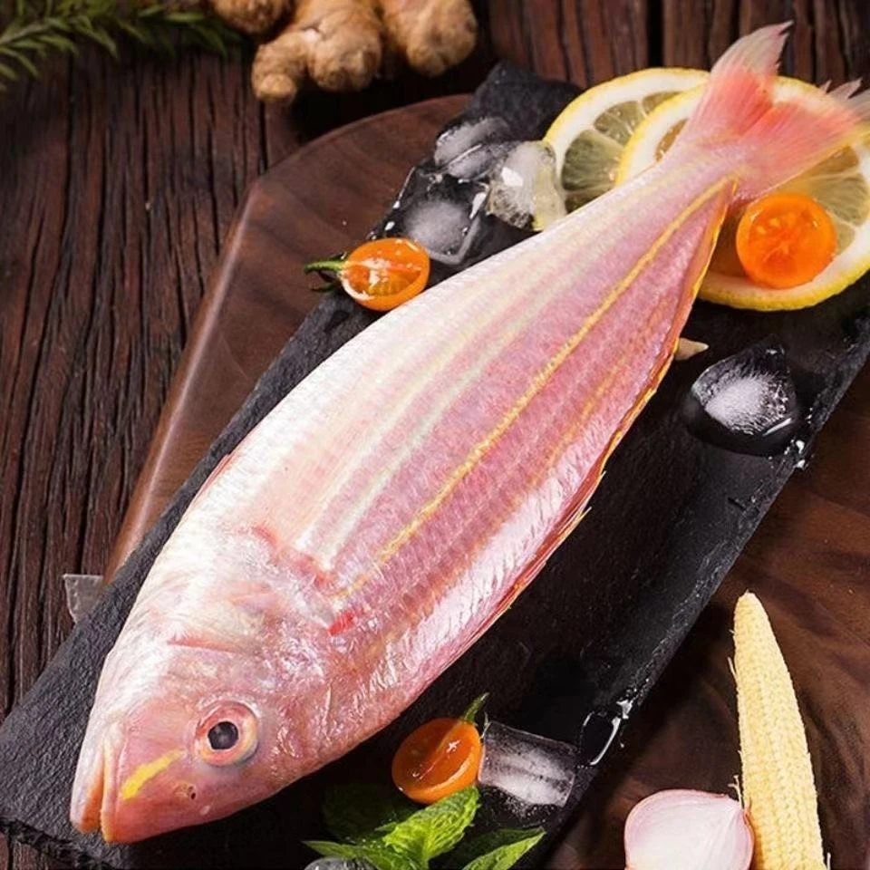 【小胞专属】（3条/斤）海捕金线鱼 正金线金丝鱼新鲜海鱼