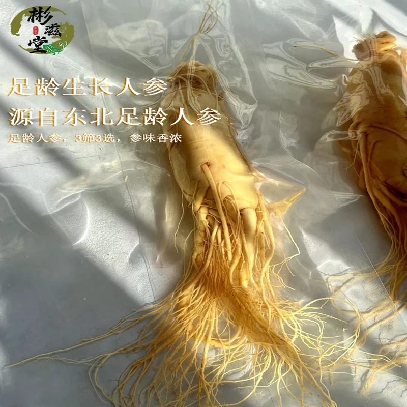 彬滋堂严选人参新鲜保鲜参正宗东北产地人参整支泡酒搭配煲汤自然