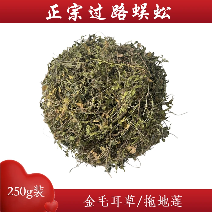 福建高山 野生过路蜈蚣 金毛耳草  25年上新 自然晒干250g